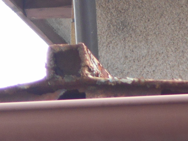 カラートタン瓦棒屋根現場調査