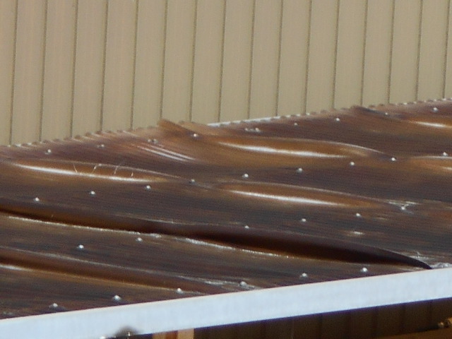 塩ビ波板現場調査