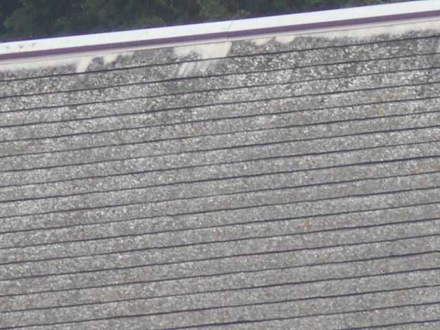 スレート屋根