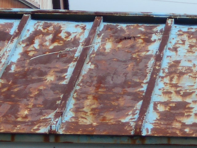 カラートタン瓦棒屋根現場調査