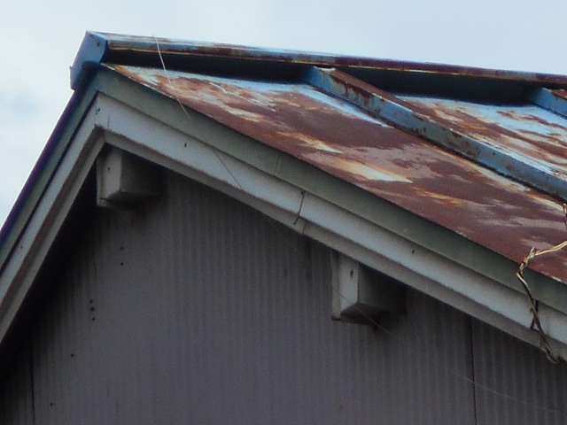 カラートタン瓦棒屋根現場調査