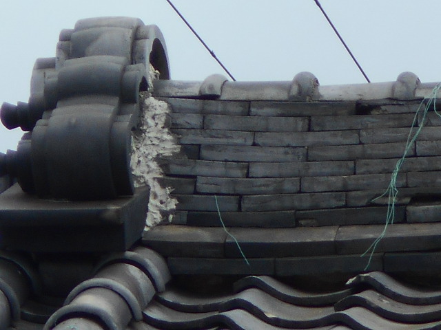 日本瓦屋根現場調査