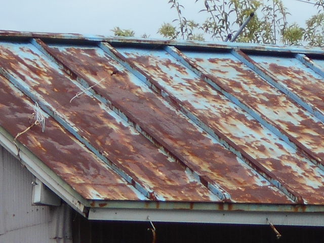カラートタン瓦棒屋根現場調査