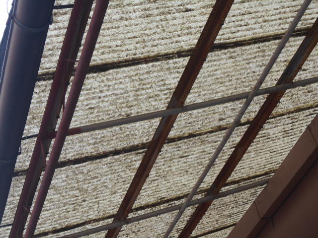 ポリカ波板屋根現場調査