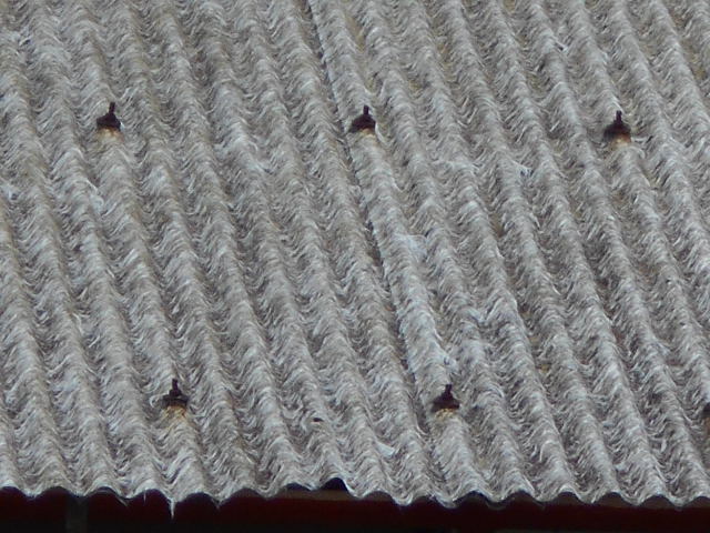 ポリカ波板屋根現場調査