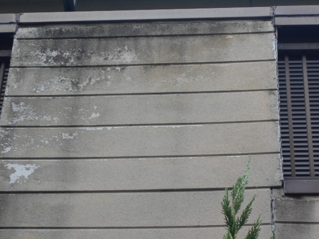 サイディング現場調査