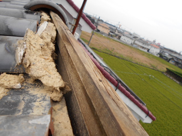 S瓦屋根現場調査