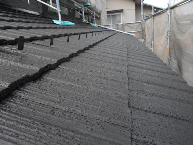 マイティールーフ