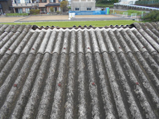 大波スレート屋根現場調査