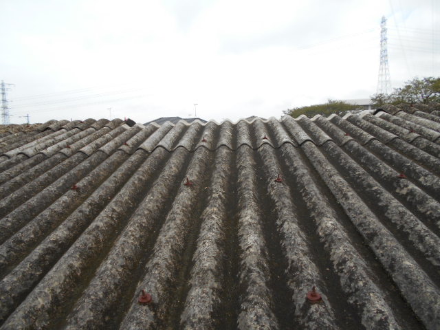 大波スレート屋根現場調査