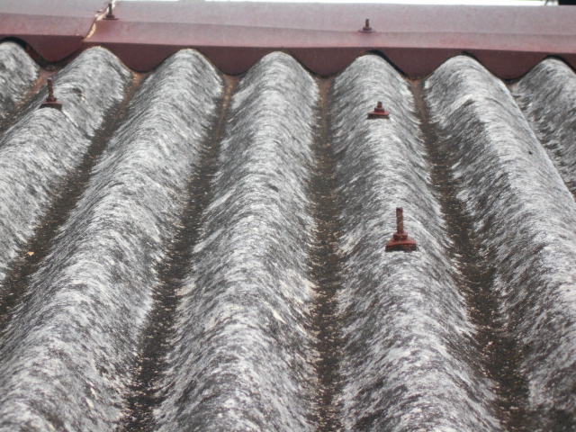 小波スレート屋根現場調査