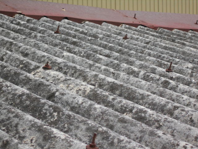 小波スレート現場調査