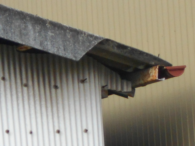 小波スレート屋根現場調査