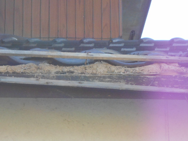 瓦屋根現場調査