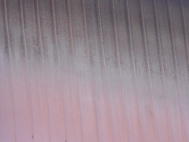 トタン現場調査