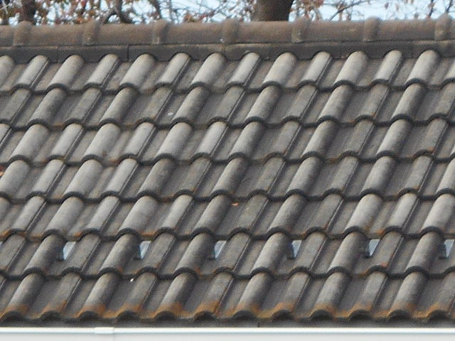 モニエル瓦現場調査