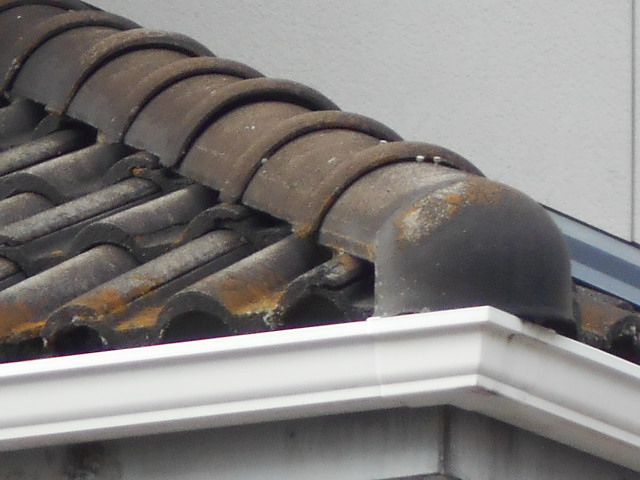 モニエル瓦現場調査