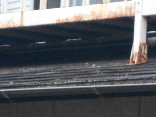 ベランダ屋根無料調査