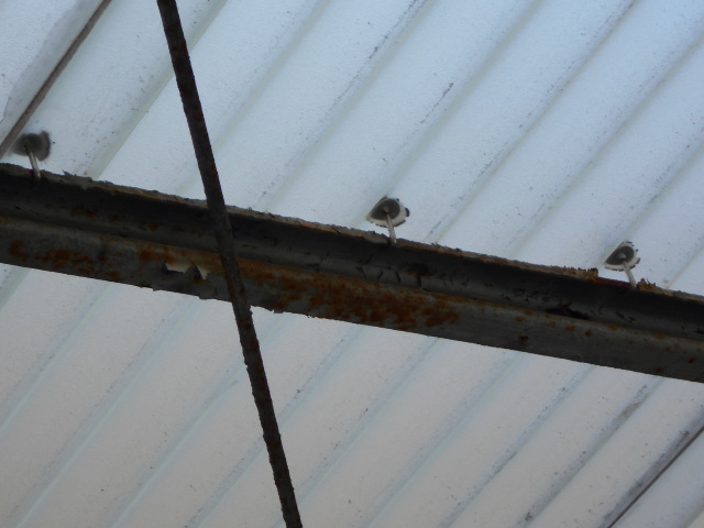 車庫の鉄骨無料調査