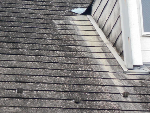 カラーベスト屋根無料点検