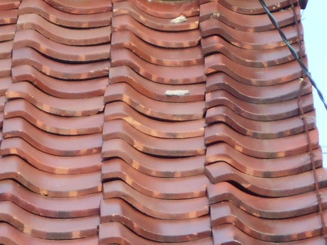 三日月漆喰調査