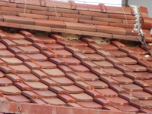 三日月漆喰調査