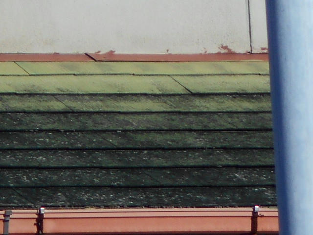 カラーベスト屋根調査