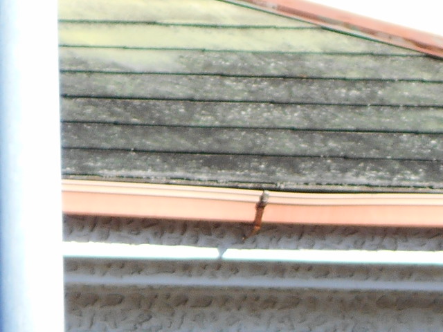 カラーベスト屋根調査