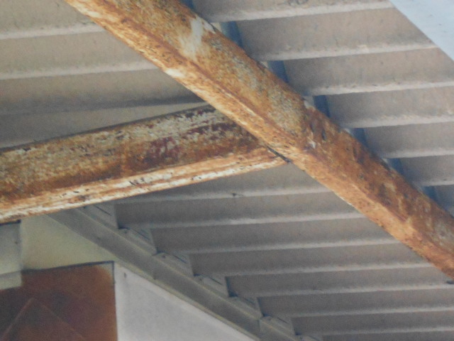 ルーフデッキ屋根調査