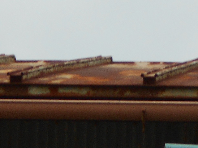 カラートタン瓦棒屋根調査