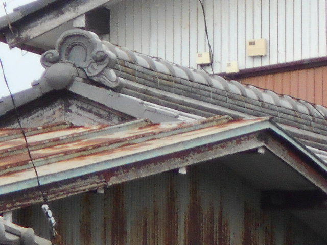 カラートタン瓦棒屋根調査