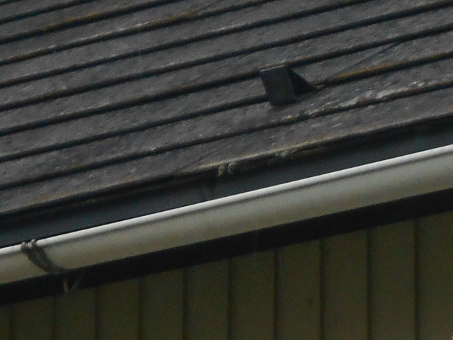 カラーベスト屋根現場調査