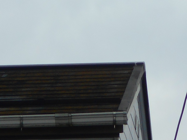 カラーベスト屋根調査