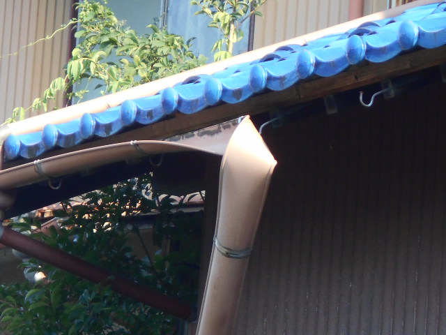 樋調査