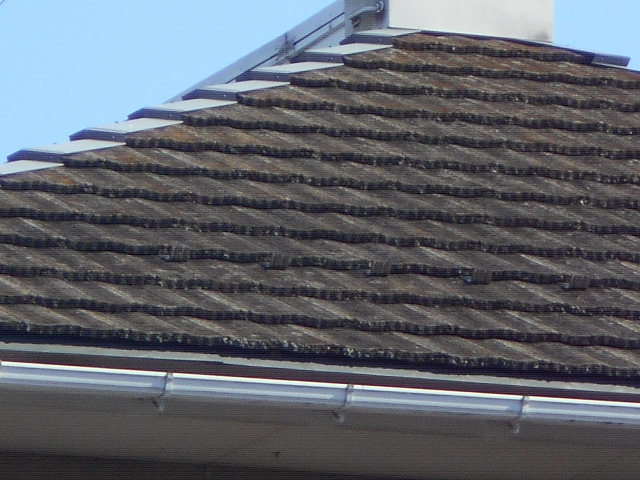 モニエル屋根調査