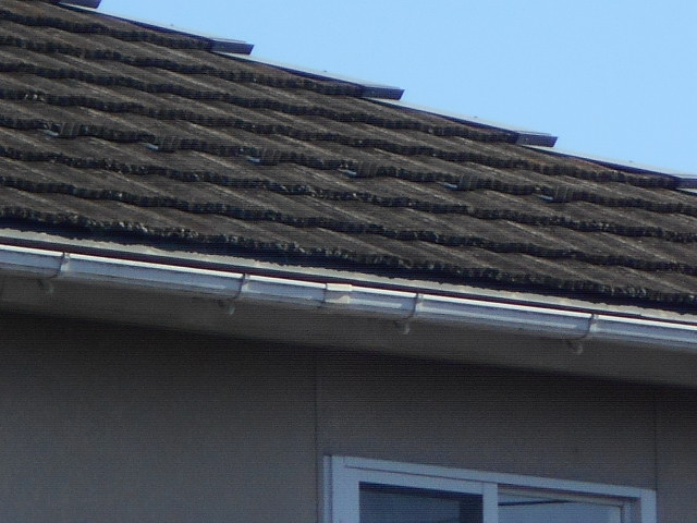 モニエル屋根調査