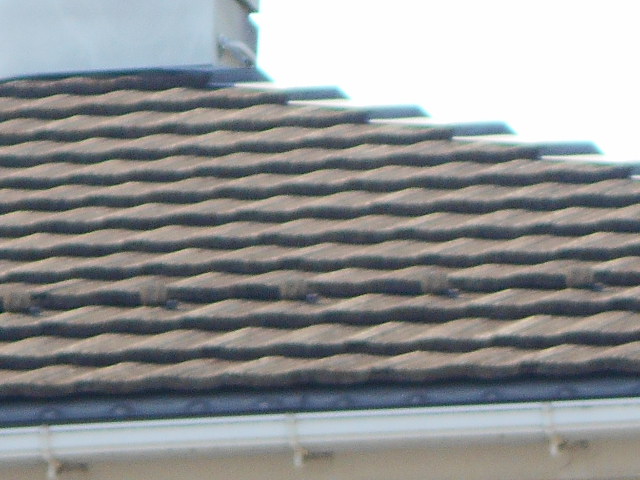 モニエル屋根調査