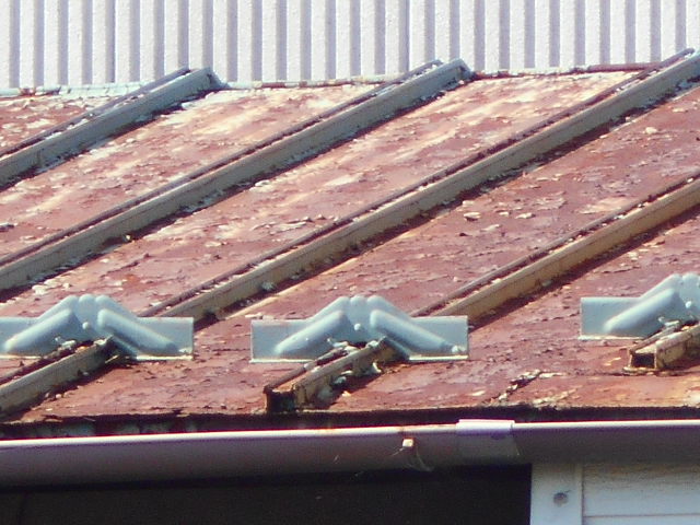 カラートタン瓦棒屋根調査