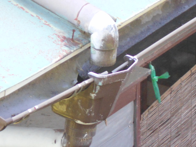 カラートタン瓦棒屋根調査