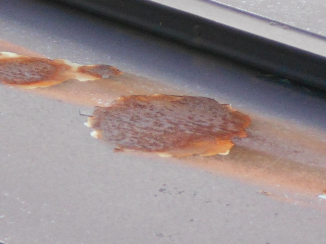 カラートタン瓦棒屋根調査