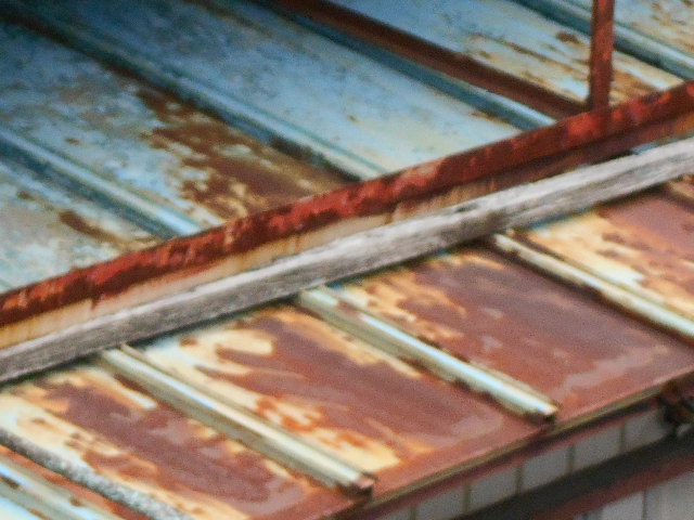 カラートタン瓦棒屋根調査