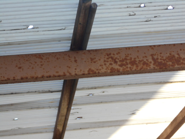 塩ビ波板屋根調査