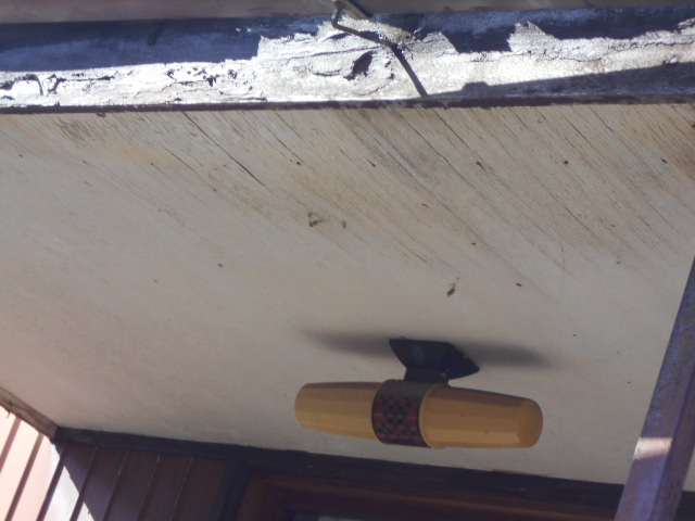 玄関屋根調査