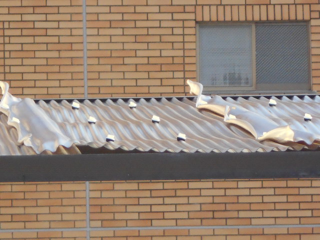 波板調査
