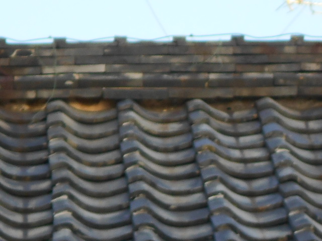 屋根瓦調査