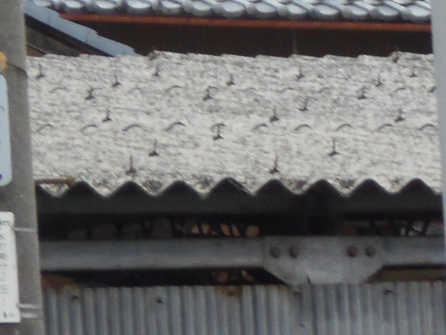 大波スレート屋根調査