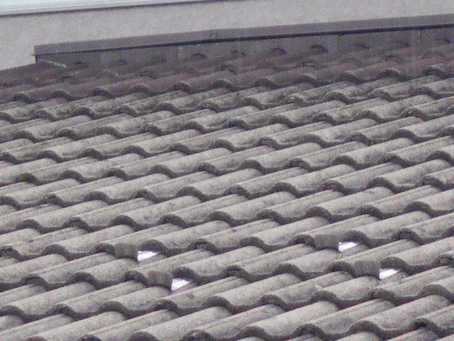 モニエル瓦屋根調査