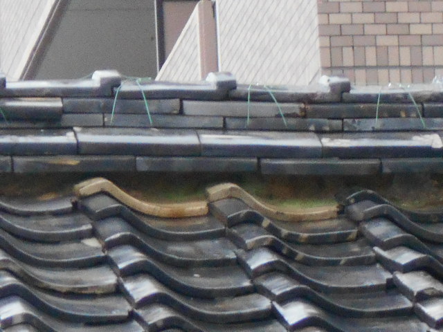 屋根調査