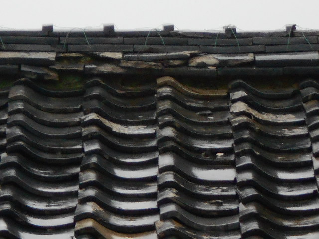 屋根調査
