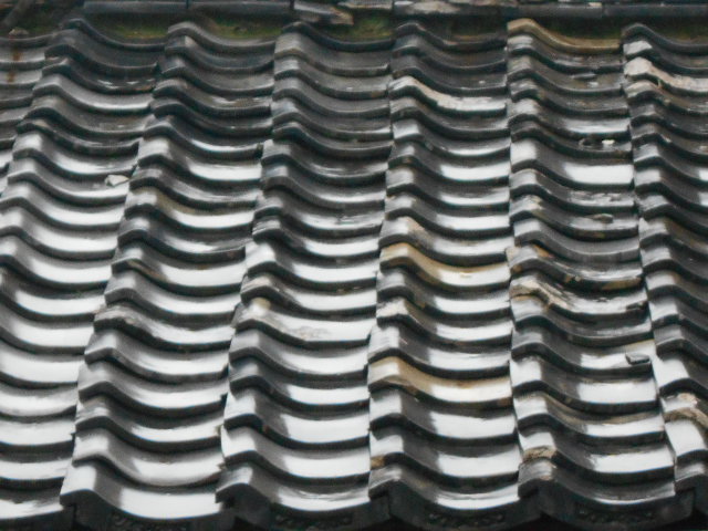 屋根調査
